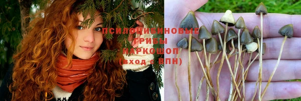 спайс Армянск